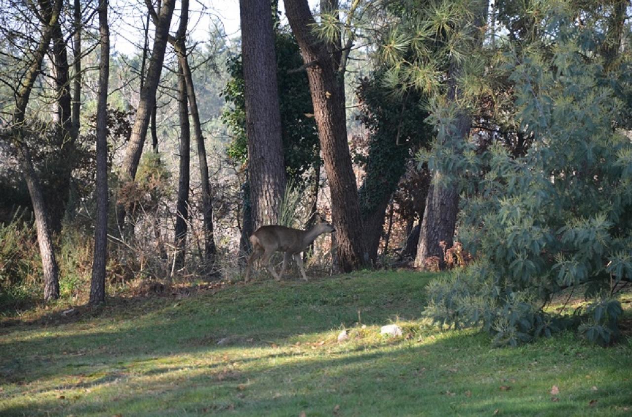 L'Hippocampe Bed & Breakfast Sérent Екстериор снимка