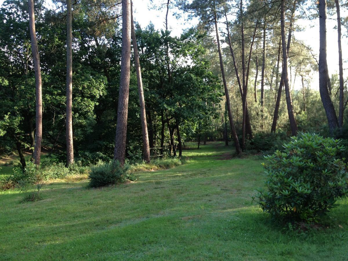 L'Hippocampe Bed & Breakfast Sérent Екстериор снимка