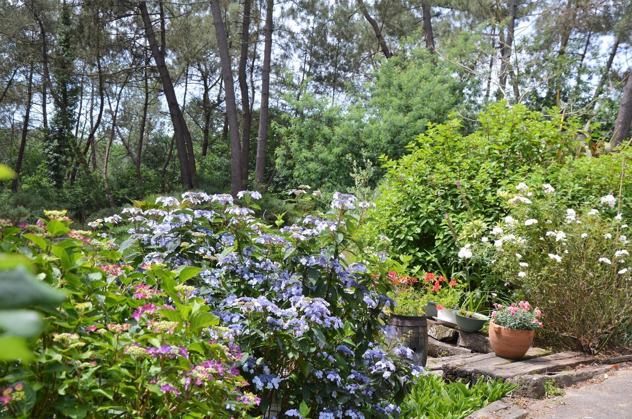 L'Hippocampe Bed & Breakfast Sérent Екстериор снимка